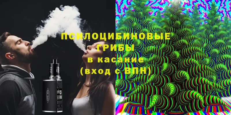 Псилоцибиновые грибы MAGIC MUSHROOMS  Александровск 