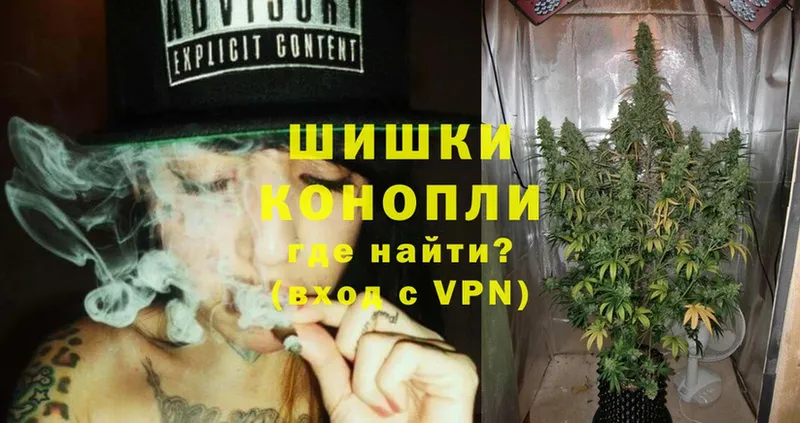 Шишки марихуана SATIVA & INDICA  дарнет шоп  Александровск 